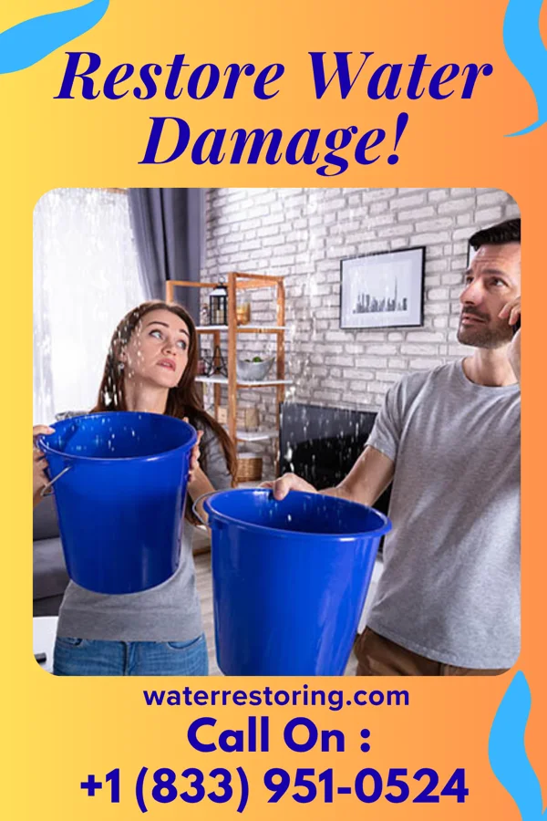 water restoration Citywide Extraction Services Shawneetown