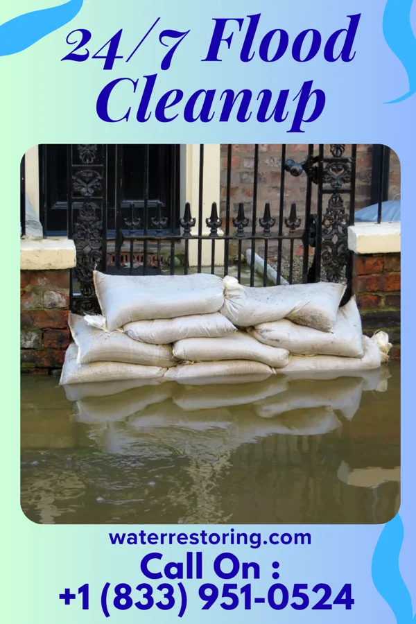 24/7 Flood Cleanup in Shawneetown, IL