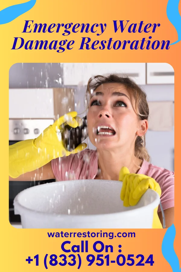 Emergency Water Damage Restoration in Shawneetown, IL