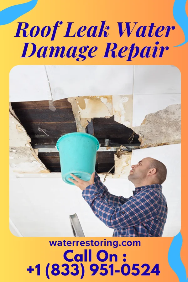 Roof Leak Water Damage Repair in Shawneetown, IL